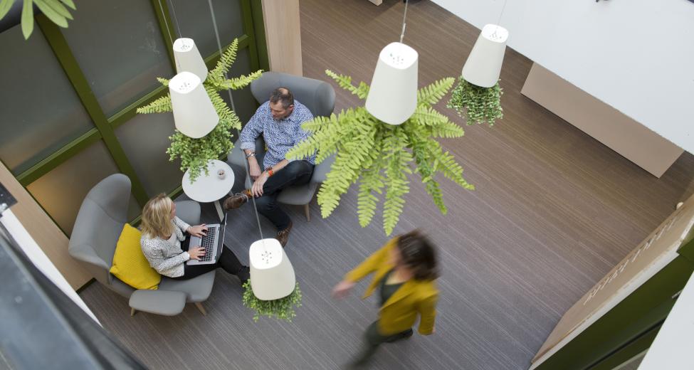 overons-onze organisatie